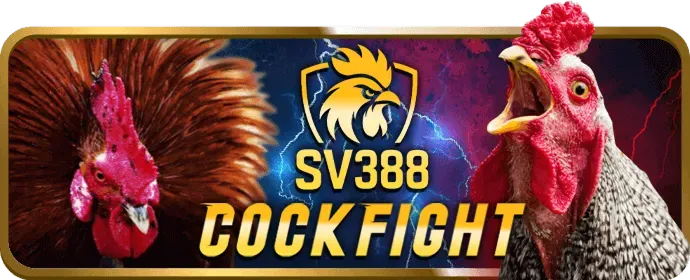 Hoàn trả hàng tuần fun222 đăng nhập